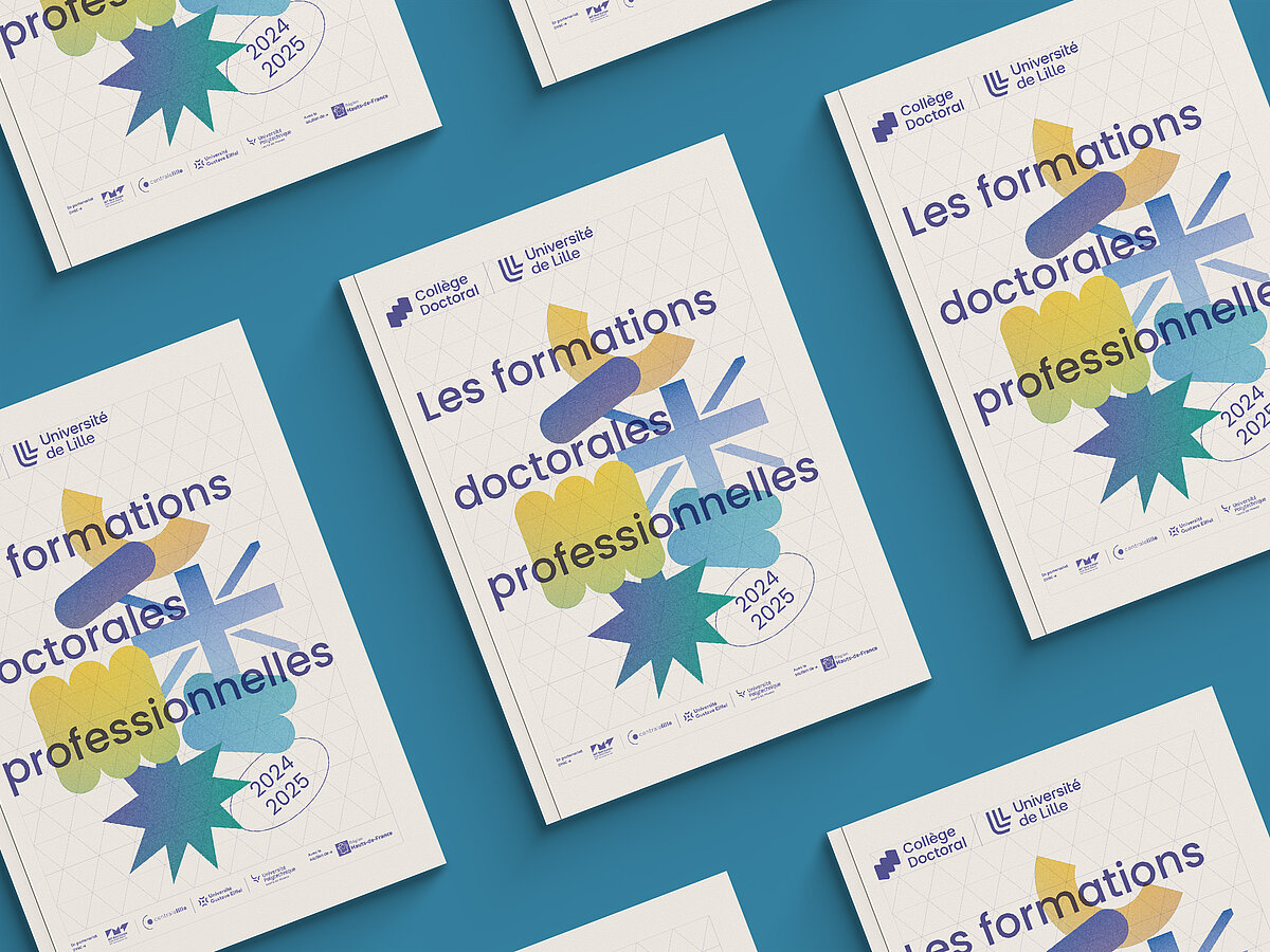 Professional doctoral training