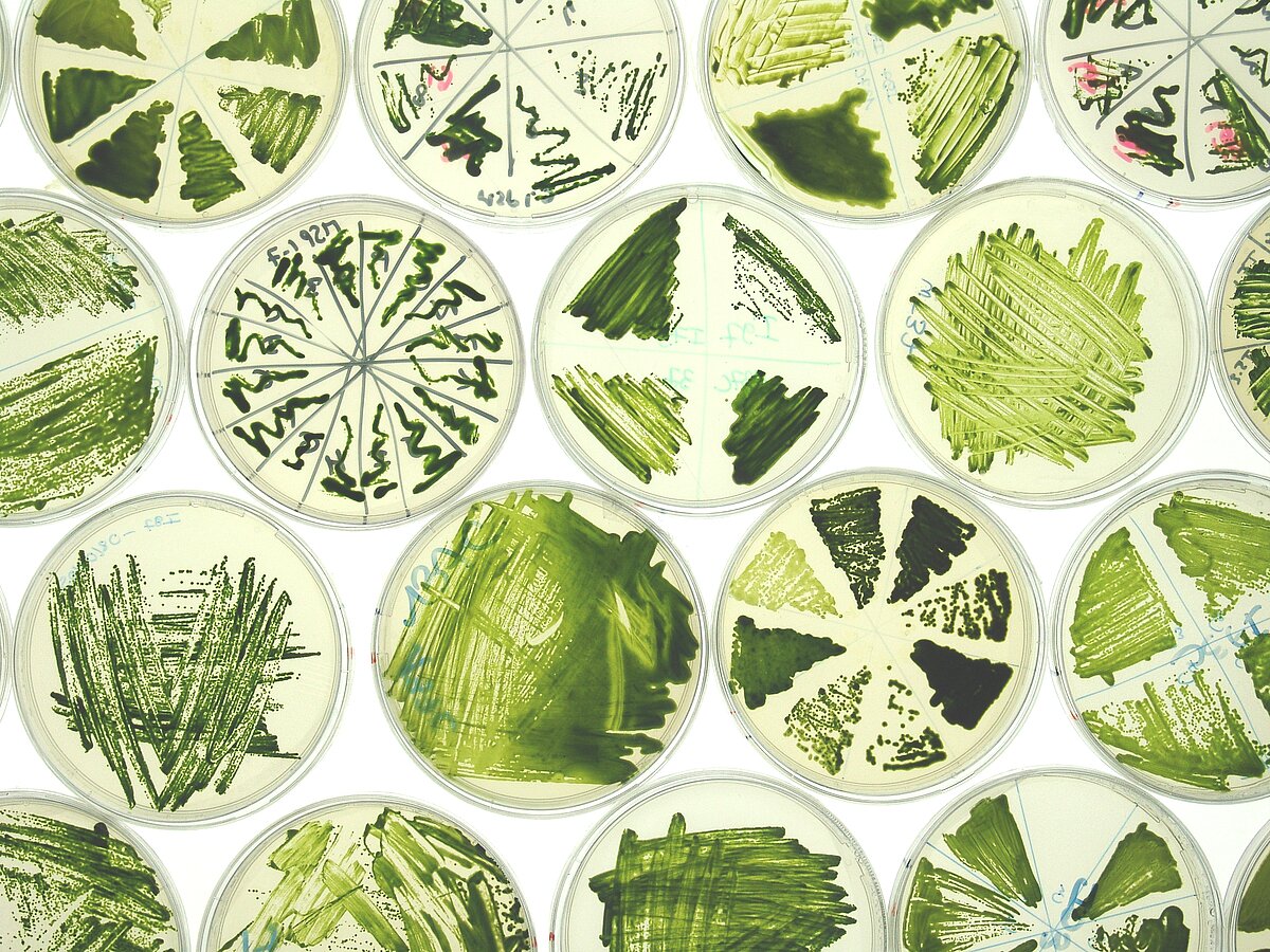 Photo - Illustration - Laboratoire de biologie